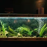 Hotel Belmont & 4*